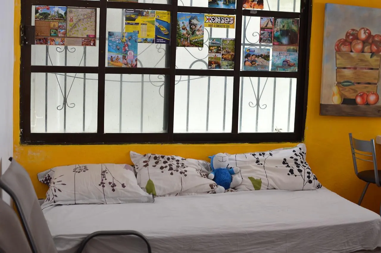 Casa Latina Hotell Playa del Carmen